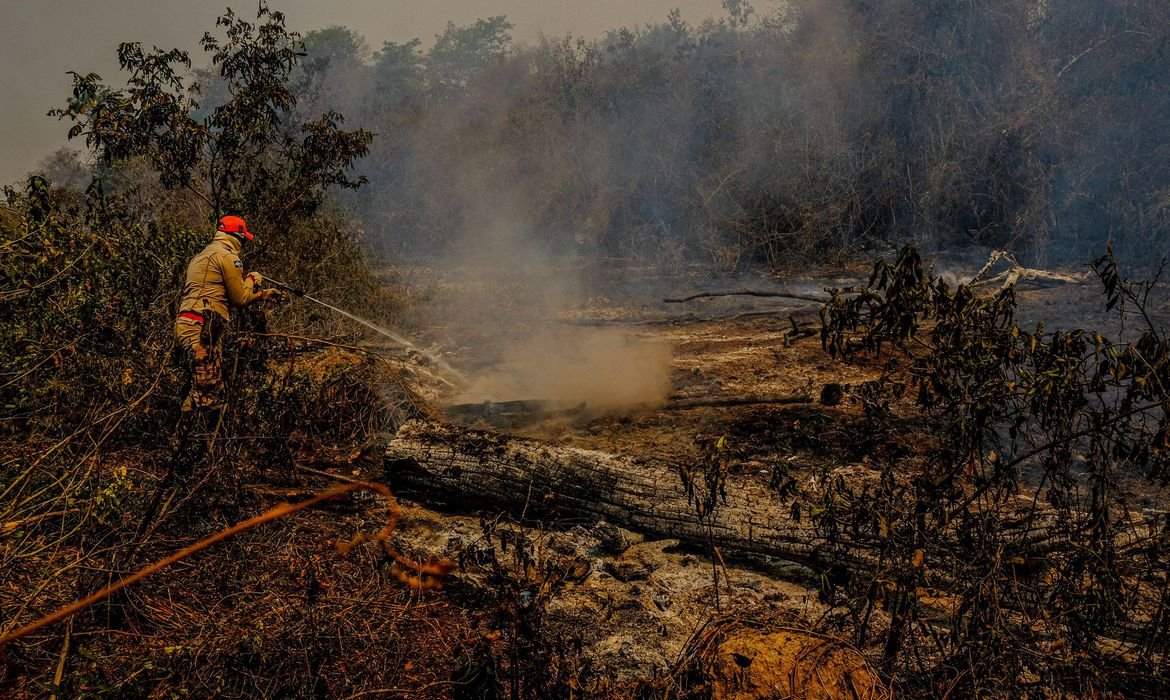 “Não pode ser acidente”, diz delegado sobre fogo no Pantanal