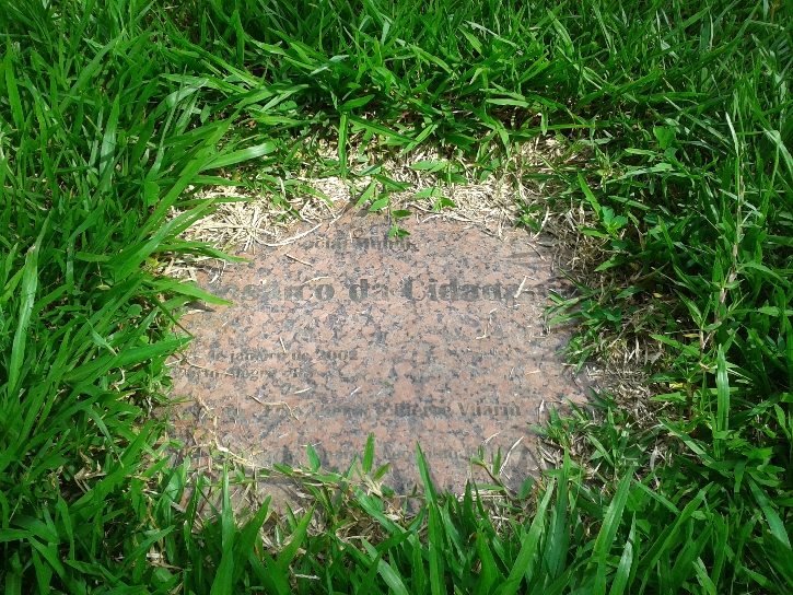 Placa de identificação da obra vai sendo coberta pela grama